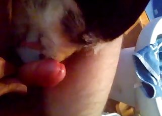 Close-up fuck-fest to blow your mind