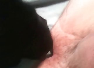 Big dog gets the wettest pussy