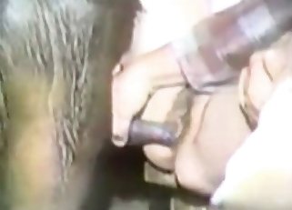 Zoo masturbation porn with a stallion