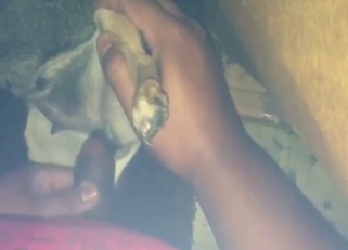 Dude puts his fingers inside a dog's pussy