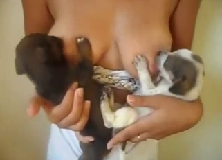 Zoo porn with a breastfeeding fetish tinge