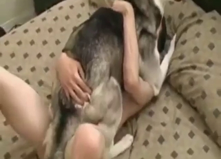 Nice zoo sex with a Husky-fucking motherfucker