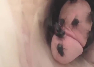 Dude shares a view of his dick covered in flies