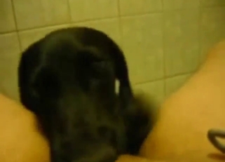 Kinetic POV movie with lots of POV dog pleasure