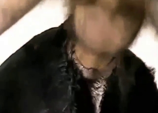 Dude breaking this dog's pussy with his dick