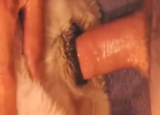 Fingering and bestiality sex lust with orgasms