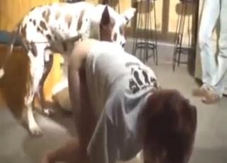 Redhead babe gang-banged by dogs, publicly