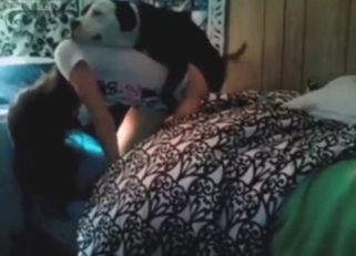 Impressive zoo sex with a tight-assed zoophile