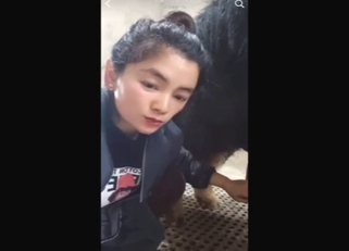 Horny zoophile from China blowing a pig here
