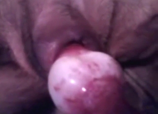 Who says zoo sex has to feature a real cock