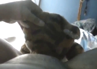 Plushie in a zoo XXX video with lots of licking