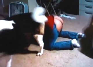 Dog fuck in zoo XXX with deeper, hotter thrusts