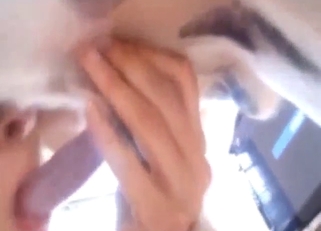 Dalmatian bestiality sex fucking with jerking off