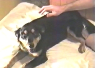 Bad girlie with a hot body is going to get off