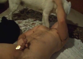 Kissing and teasing with two dogs, one dude