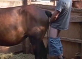 Farmer fucking a cow or something, it's deep