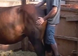 Farmer fucking a cow or something, it's deep