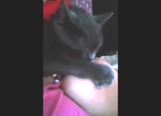 Cat is going to suck on that titty just for fun