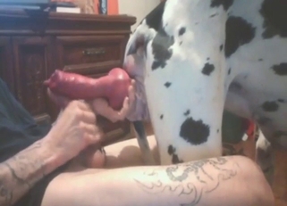 Dane dick is going to get jerked off in a hot vid