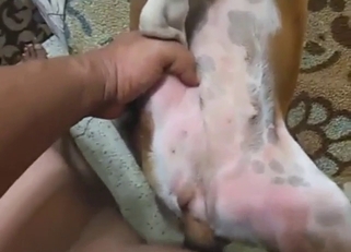 Submissive animal with a pink vag gets rammed