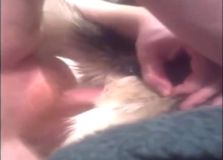 Husky seduction starts off fairly low-key