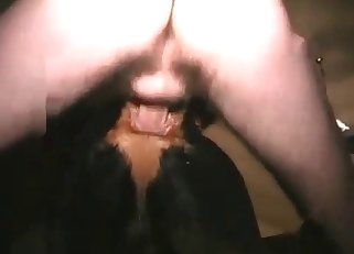 Slutty dog gets fucked from behind