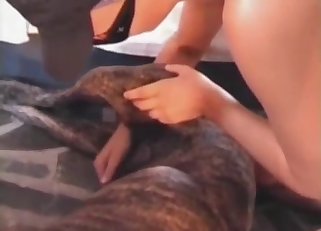 Violent bestiality is the best bestiality