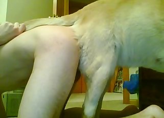 Doggy forced into impressive zoophile sex action