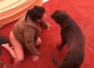 Black dog is in for the hottest sex ever