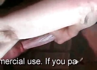 Cock-sucking with a hung horse