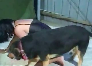 Dog drills a juicy snatch in hardcore mode