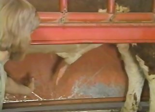 A different kind of bestiality porn