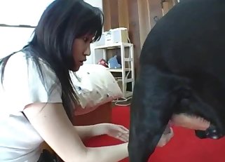 Asian gives a professional deepthroat