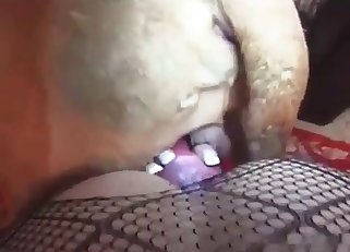 Cur s getting its stiff dick sucked