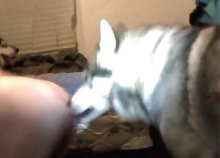 Extremely hot bestiality sex in high quality